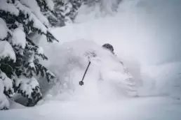 Skier immersed in a flurry of face shots, epitomizing the deep powder bliss found in the best cat skiing terrains of White Grizzly in BC.