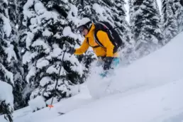 Pure elation on the slopes: Skier enjoying effortless powder turns as the terrain gently levels out, a testament to the unmatched joy of White Grizzly cat skiing in BC.