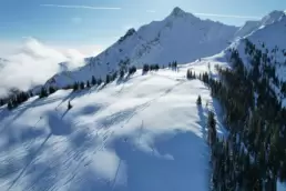 The lines start here, and where they lead is up to you. Beautiful drone shot of spreading tracks stretching down a sun-bathed powder day at White Grizzly cat skiing in BC, Canada.