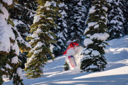 A Kemper snowboard bursting from the trees with an elated rider attached at White Grizzly cat skiing in BC, Canada.