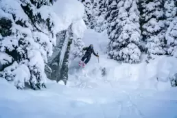 Emerging from the BC backcountry trees, a joyous guest enveloped in powder at White Grizzly cat skiing, showcasing the pristine wilderness.