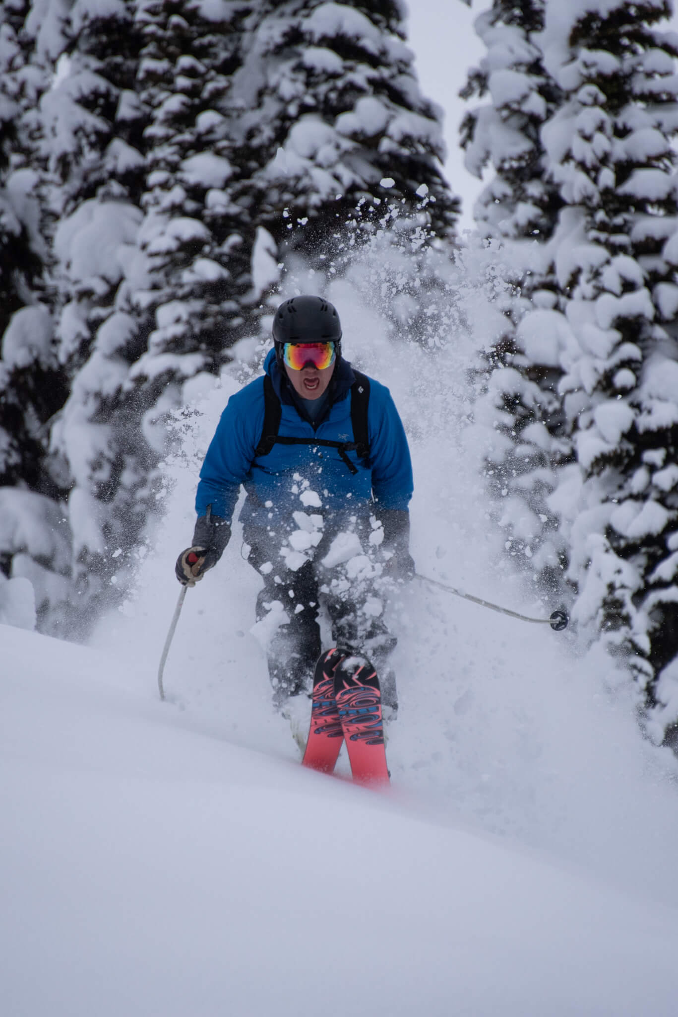 White Grizzly Cat Skiing | Ride The Kootenays | Book Pow Now