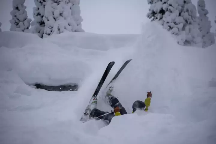 A skier experiencing a gentle tumble amidst the deep snow, a momentary wipeout amidst the best cat skiing terrain at White Grizzly in BC, Canada.