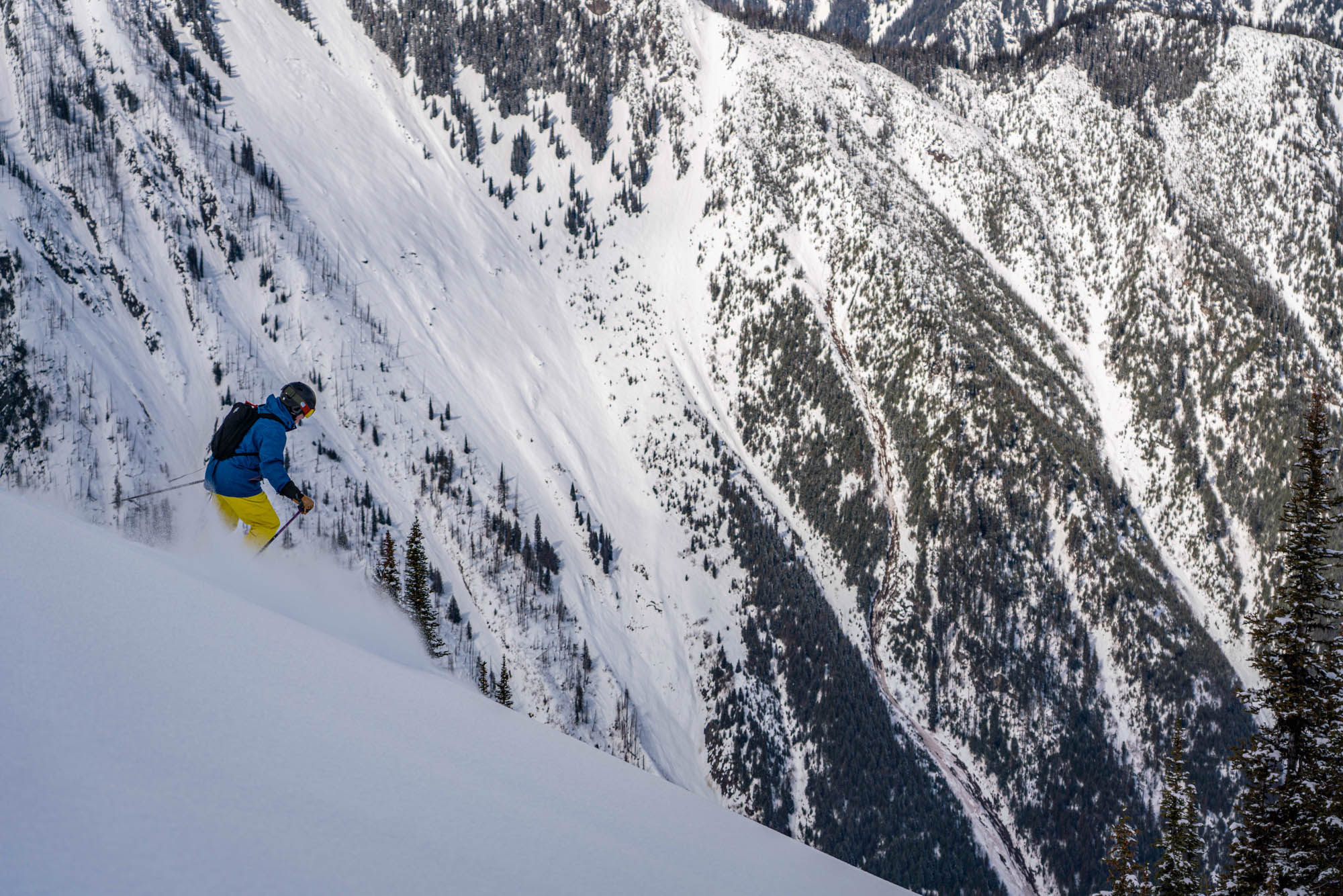 steep skiing in BC's Selkirk Mountains, with White Grizzly Cat Skiing